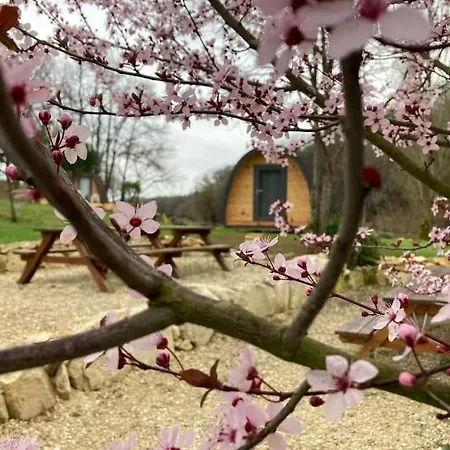 Suedois Cocooning Chazelles (Charente)