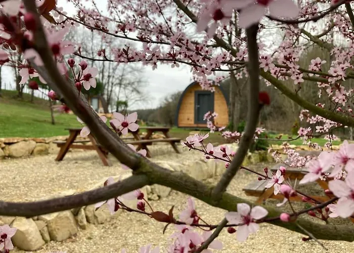 Suédois Cocooning Chazelles (Charente)